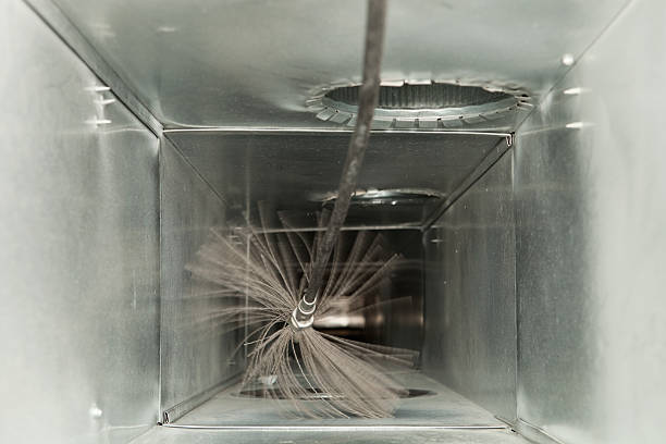 Best Affordable Duct Cleaning Services  in Bayboro, NC