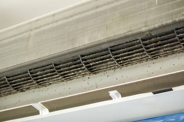 Best HVAC Air Duct Cleaning  in Bayboro, NC