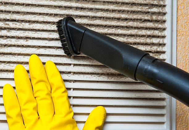 Best Ductwork Cleaning Services  in Bayboro, NC