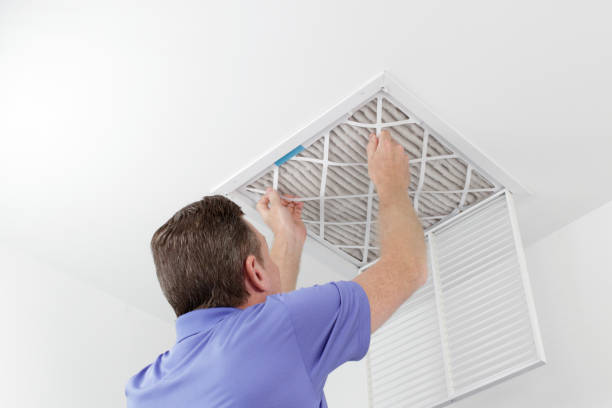 Best Affordable Duct Cleaning Services  in Bayboro, NC